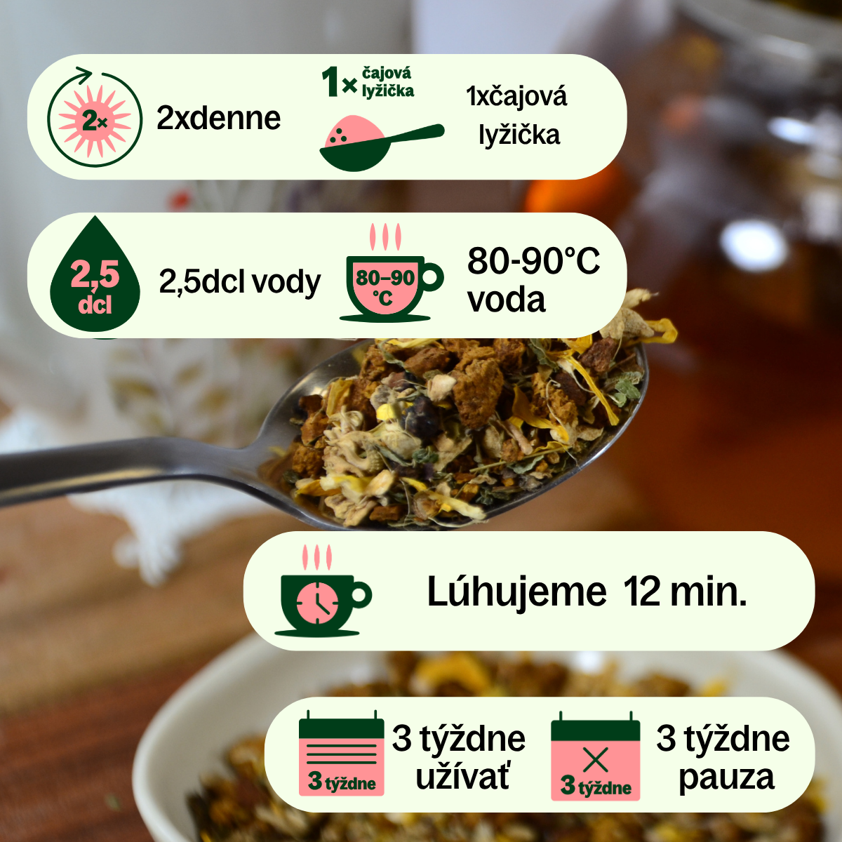 KANDIDA (2)